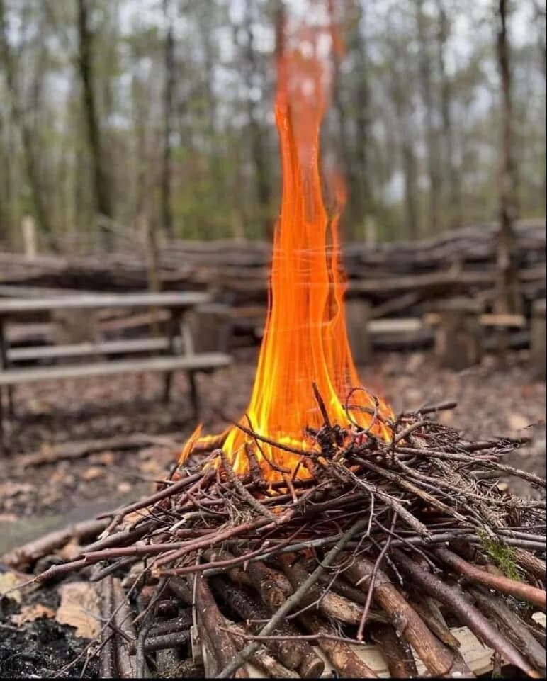 Kleines Feuer aus Zweigen am Waldsofa